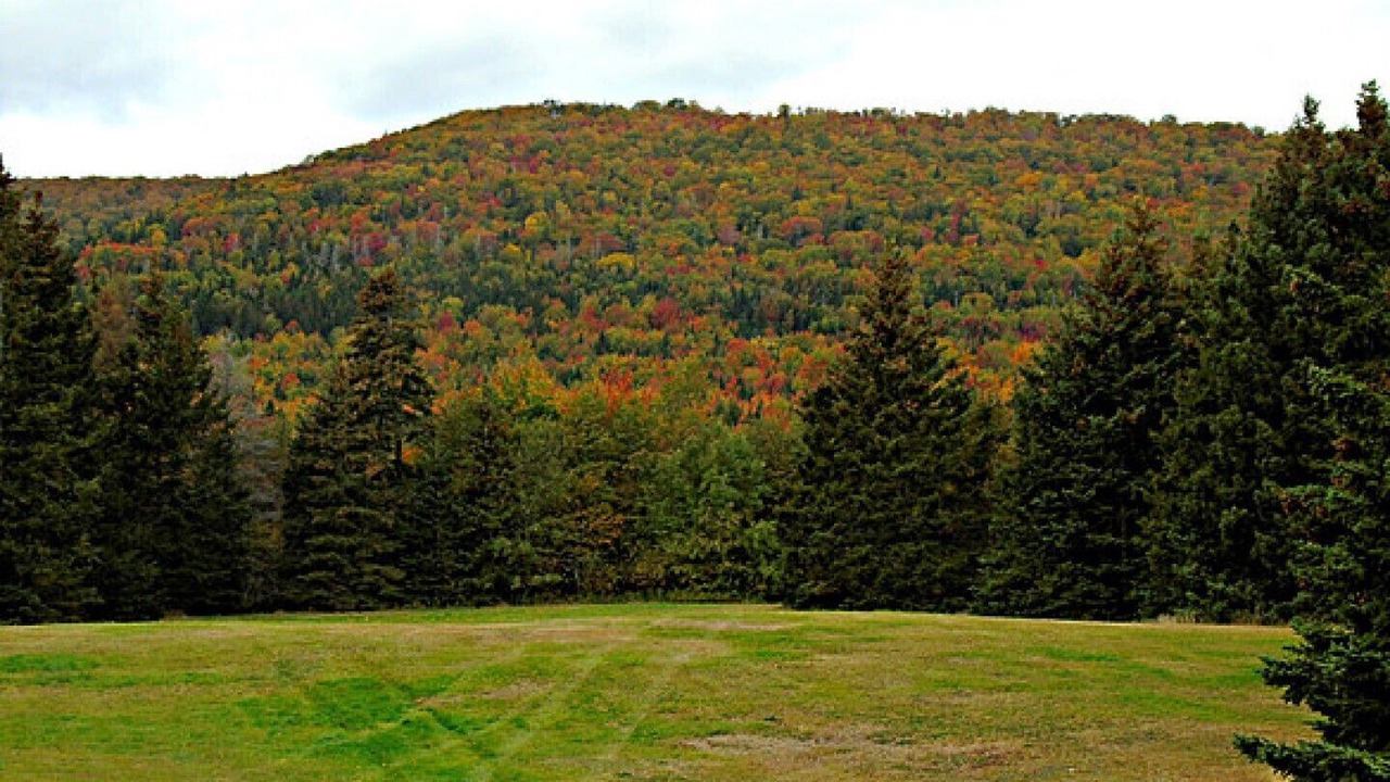 Photo of Others in Margaree Forks