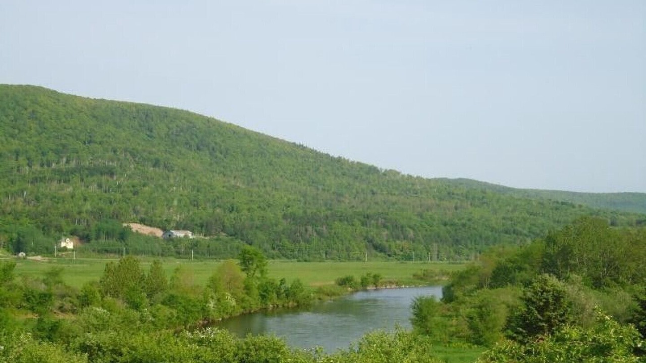 Photo of Others in Margaree Forks