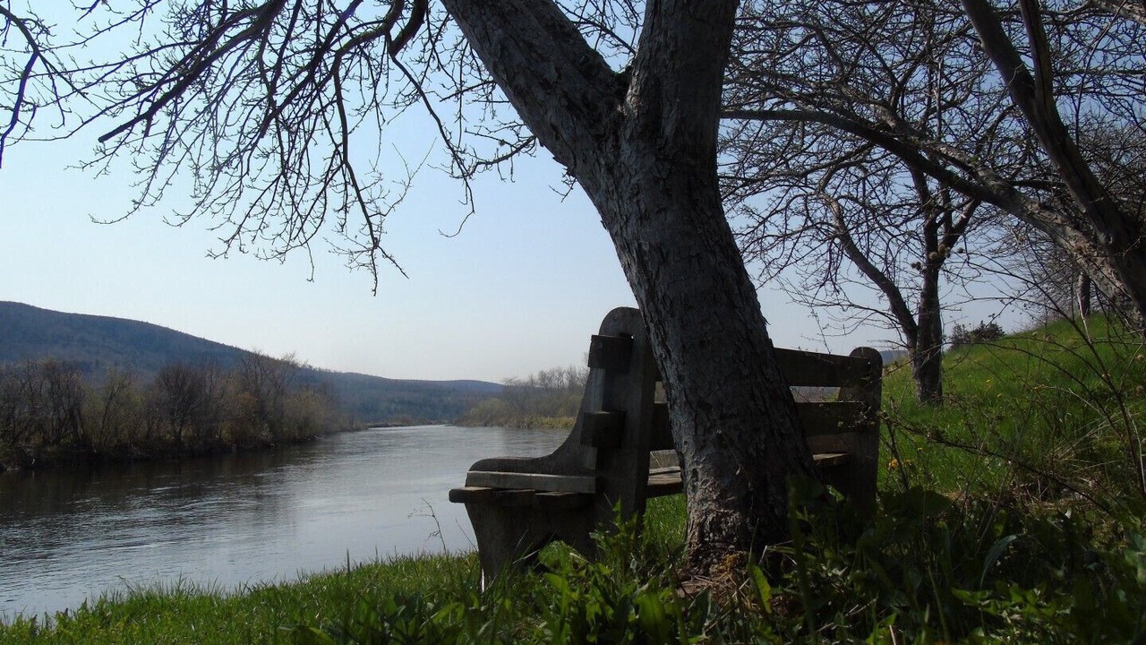 Photo of Outdoor in Margaree Forks