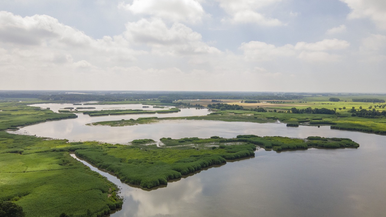 Photo of Others in Bridgeton