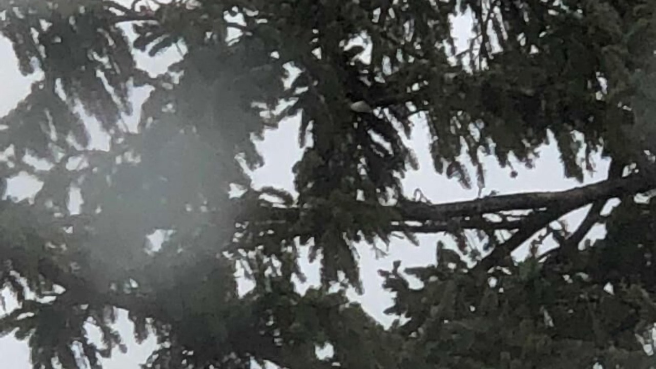 Photo of Outdoor in Bridgeton