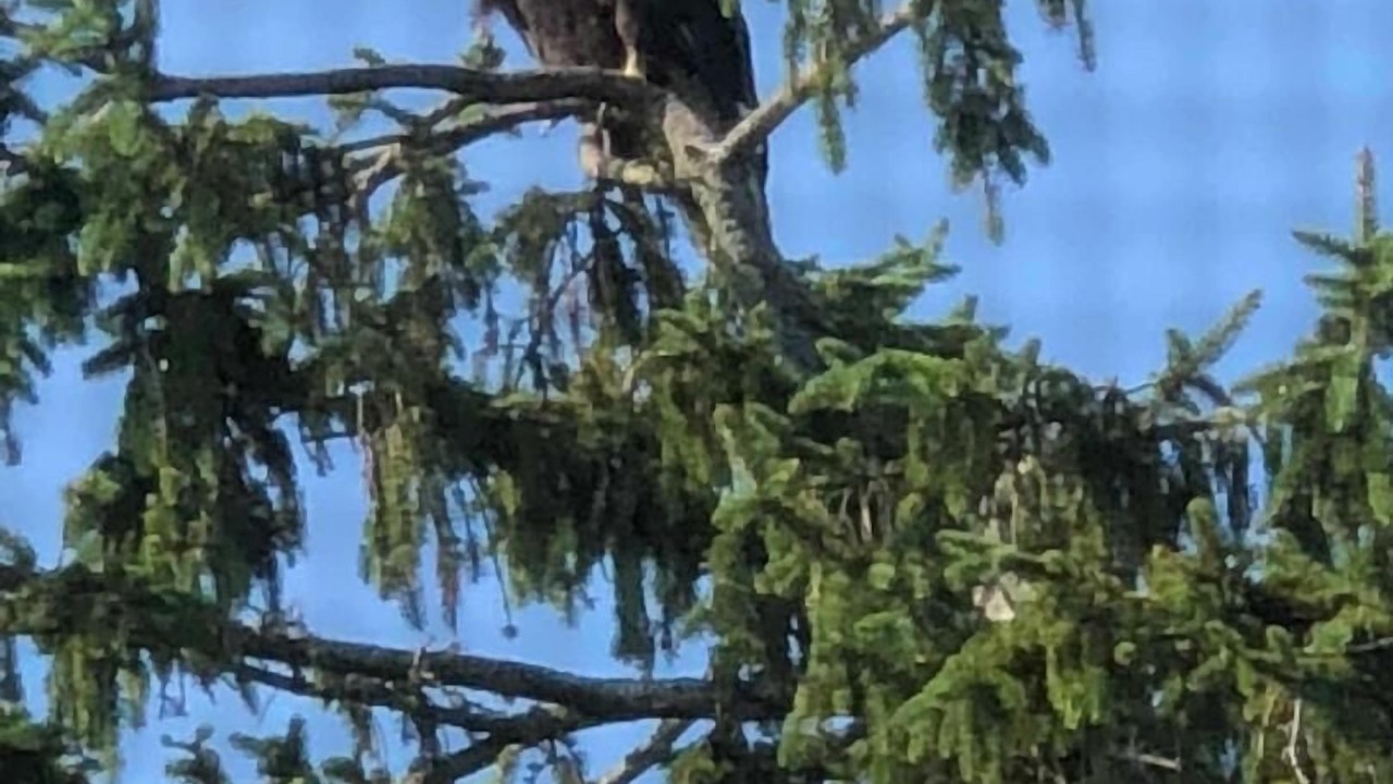 Photo of Others in Bridgeton