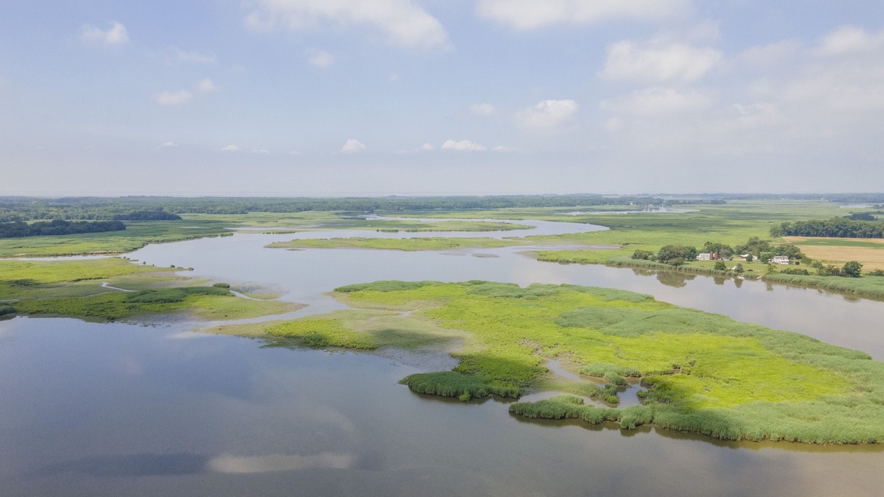 Photo of Others in Bridgeton