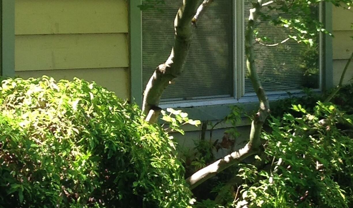 Photo of Others in Ashland