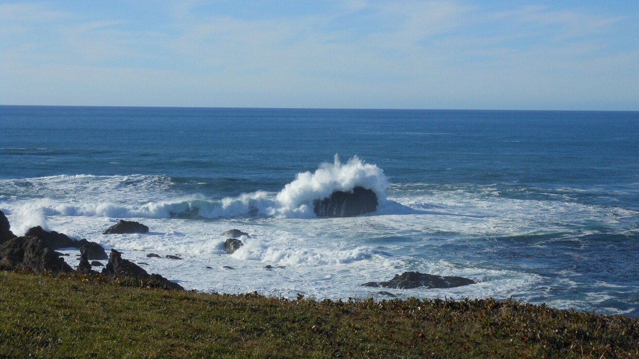 Photo of Others in Albion