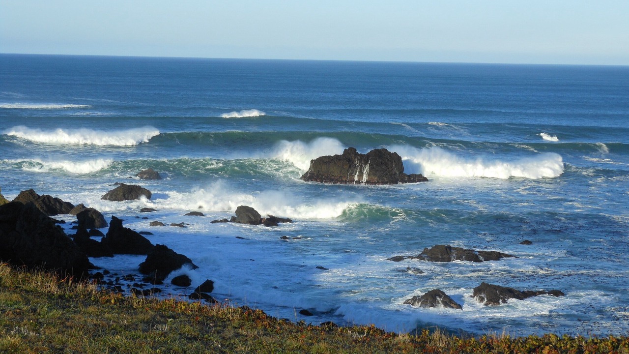 Photo of Others in Albion