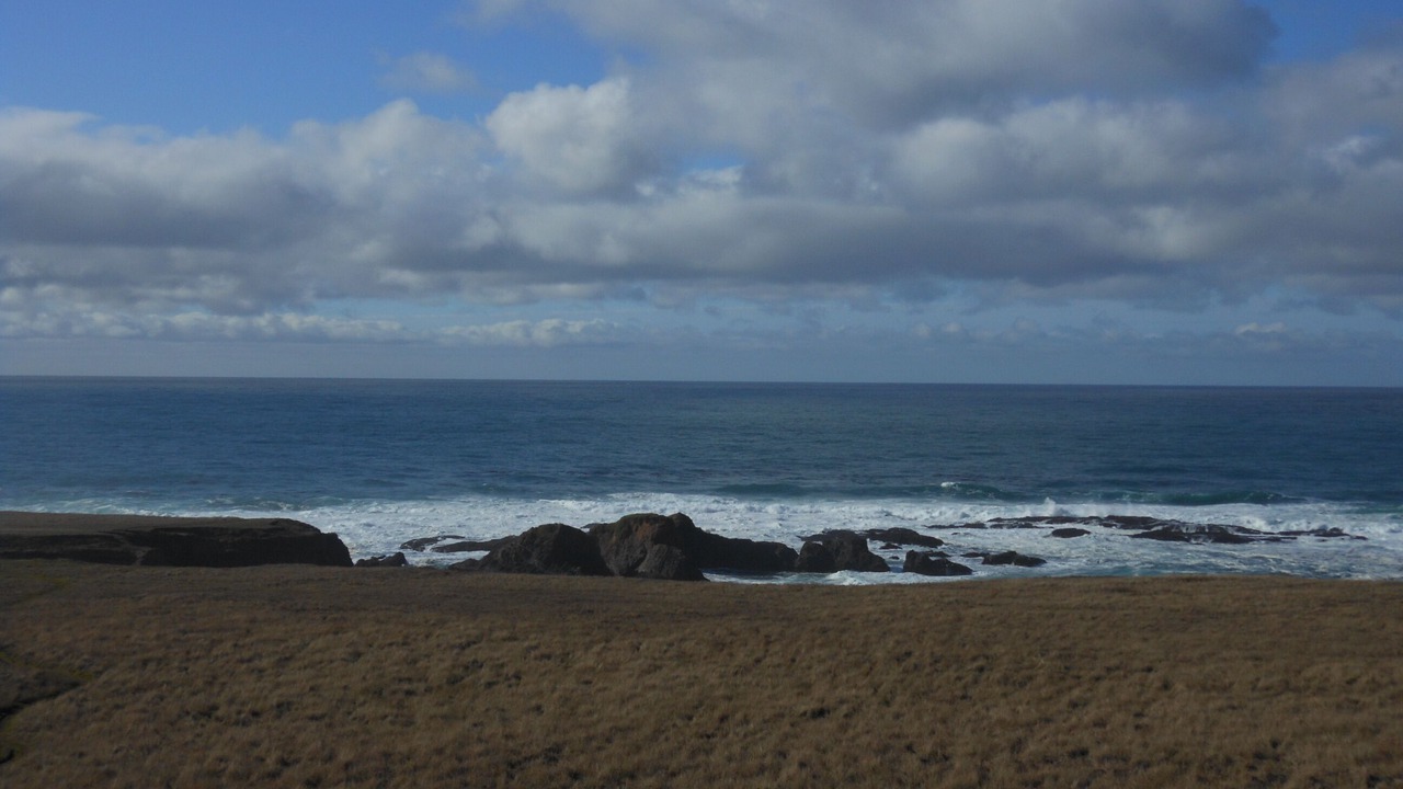 Photo of Others in Albion