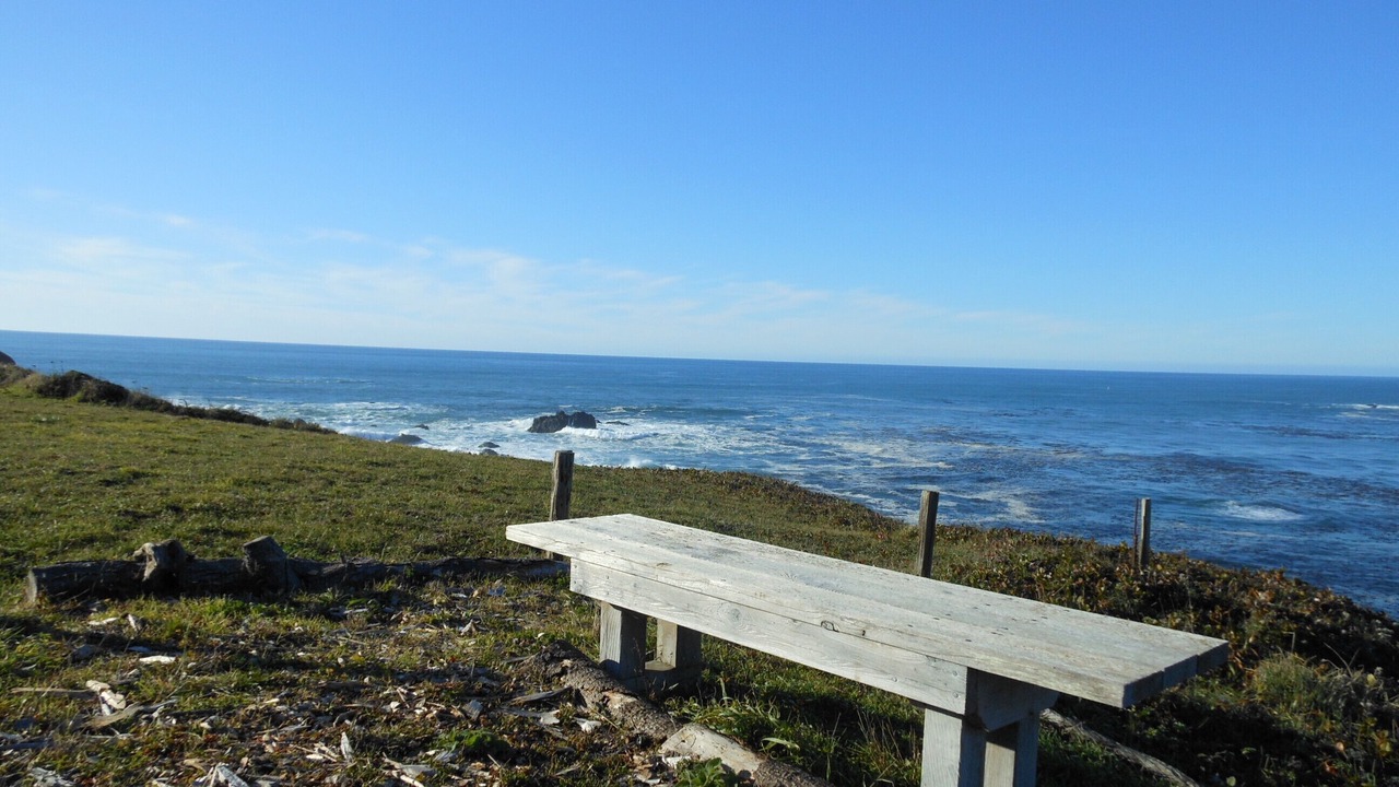 Photo of Others in Albion