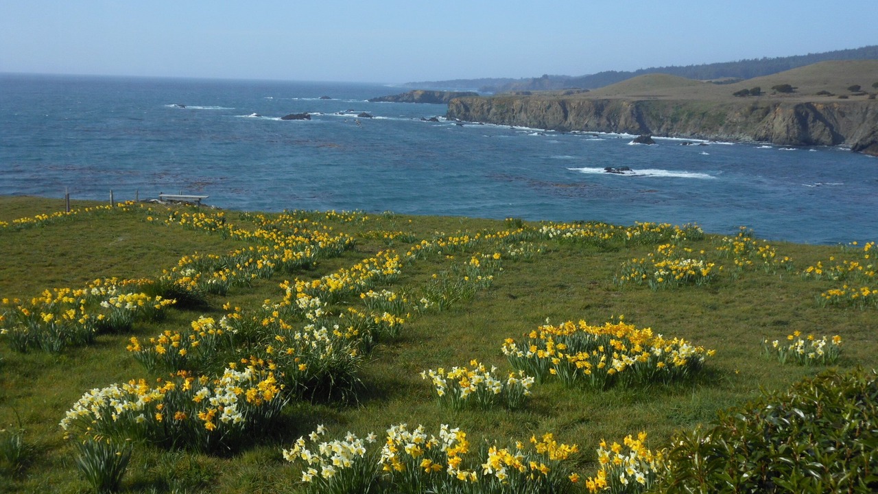 Photo of Others in Albion