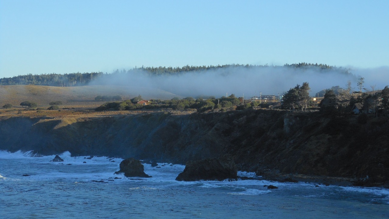 Photo of Others in Albion