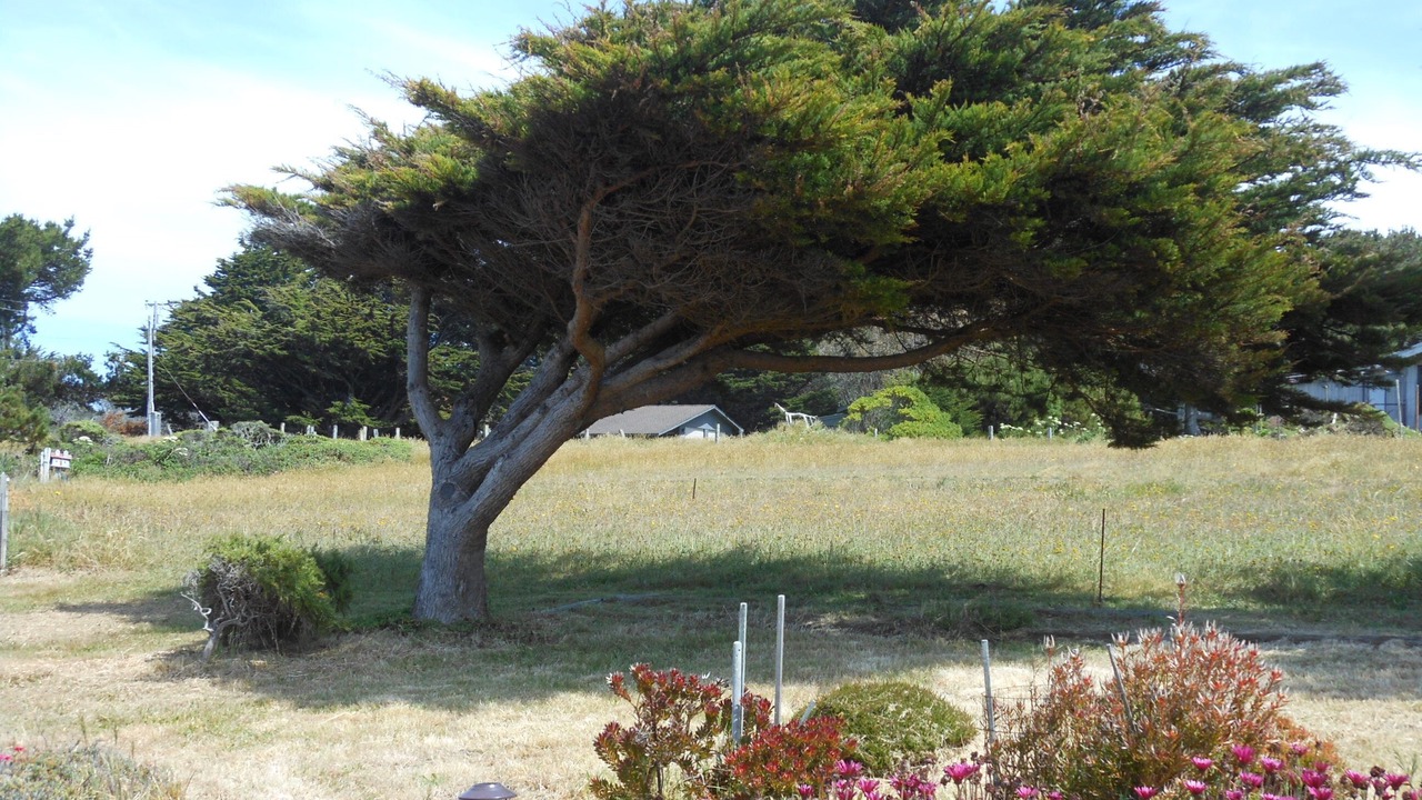 Photo of Others in Albion