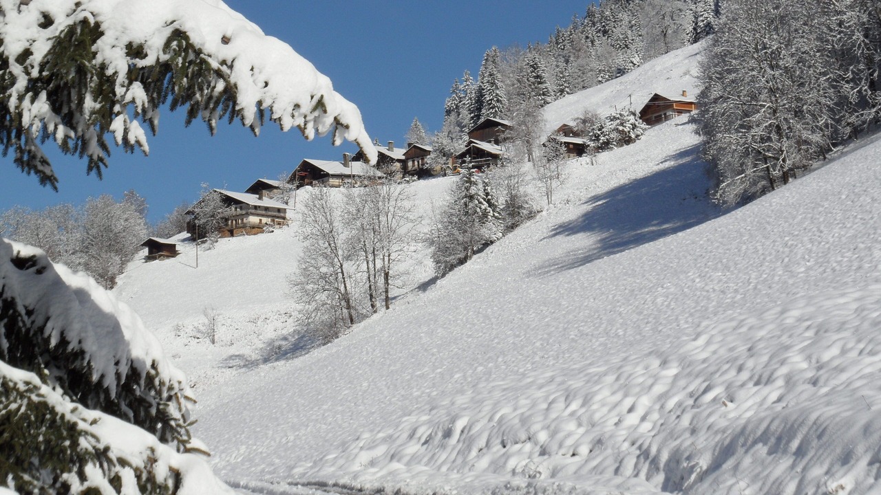 Photo of Others in Areches