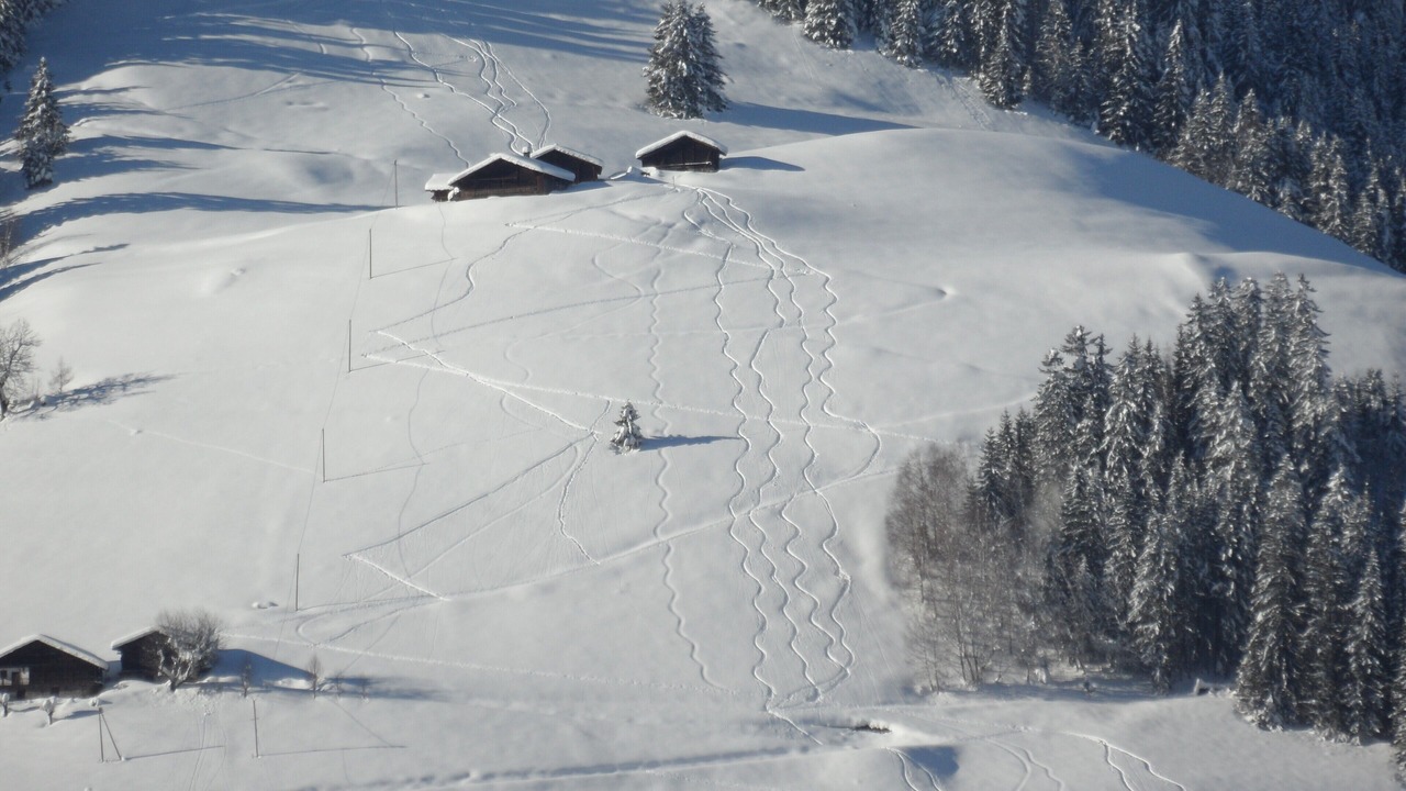 Photo of Others in Areches