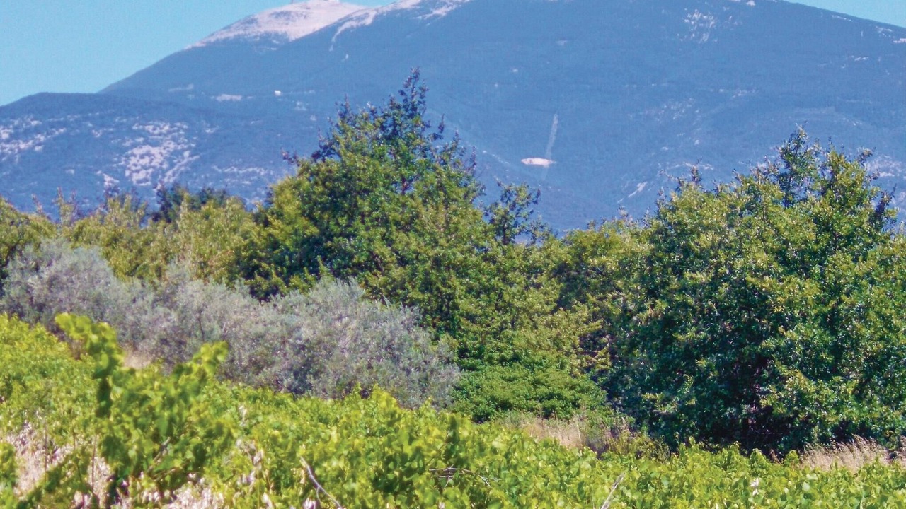 Photo of Others in Malaucene