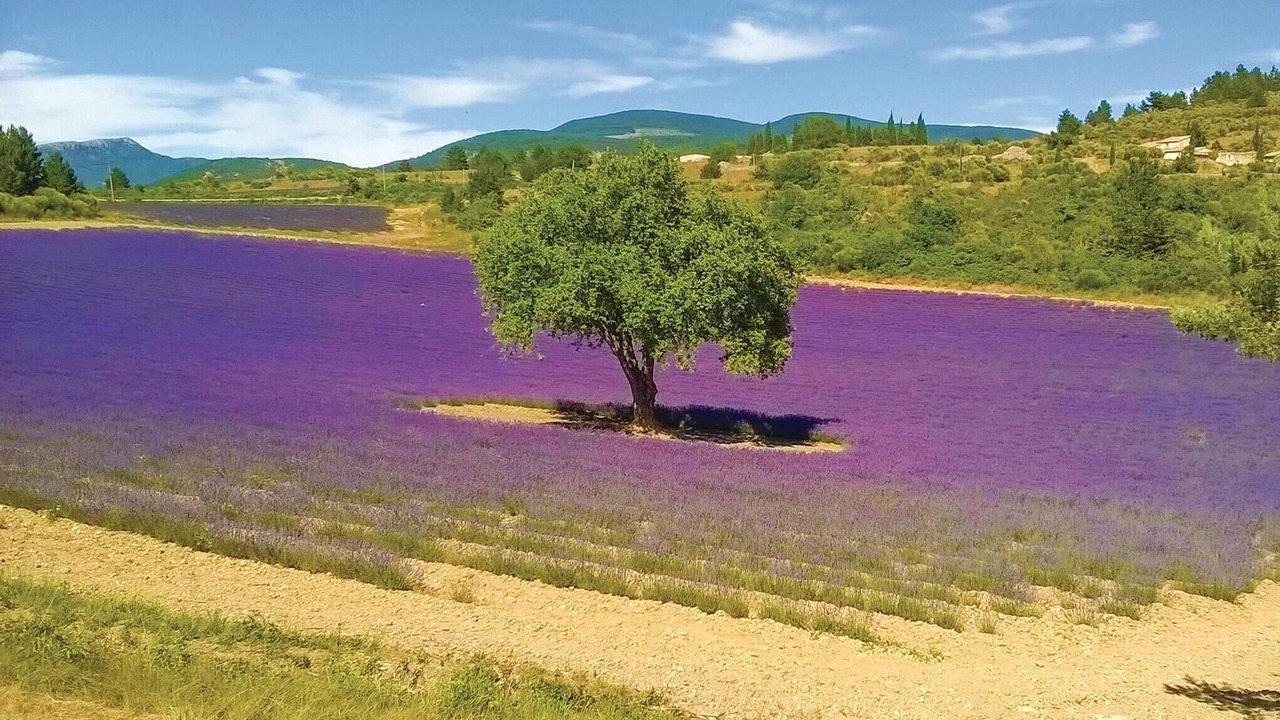 Photo of Others in Malaucene