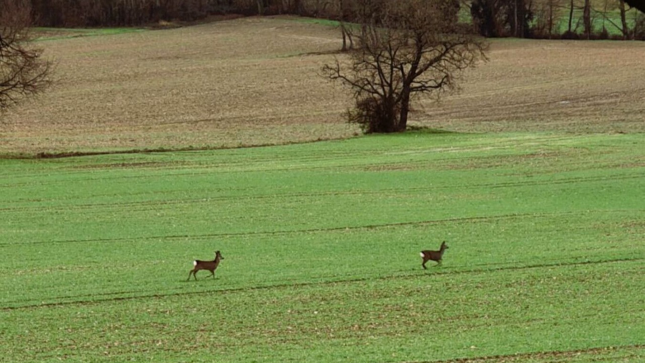 Photo of Others in Peyrole