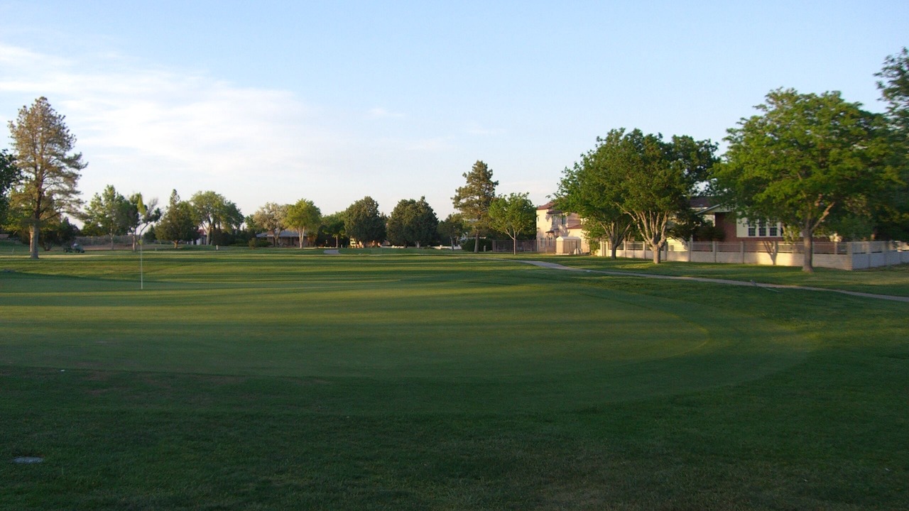 Photo of Others in Paradise Hills Civic