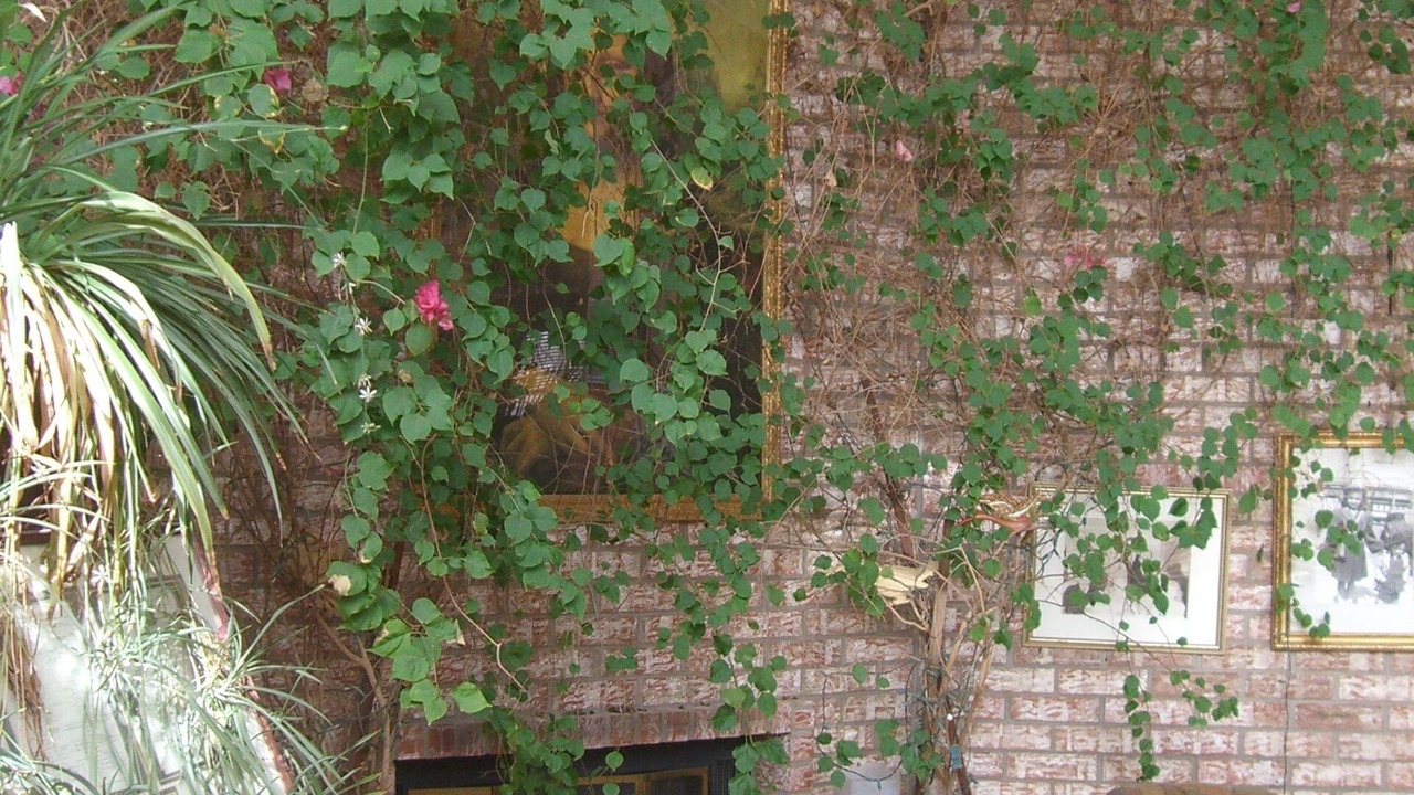 Photo of Outdoor in Paradise Hills Civic
