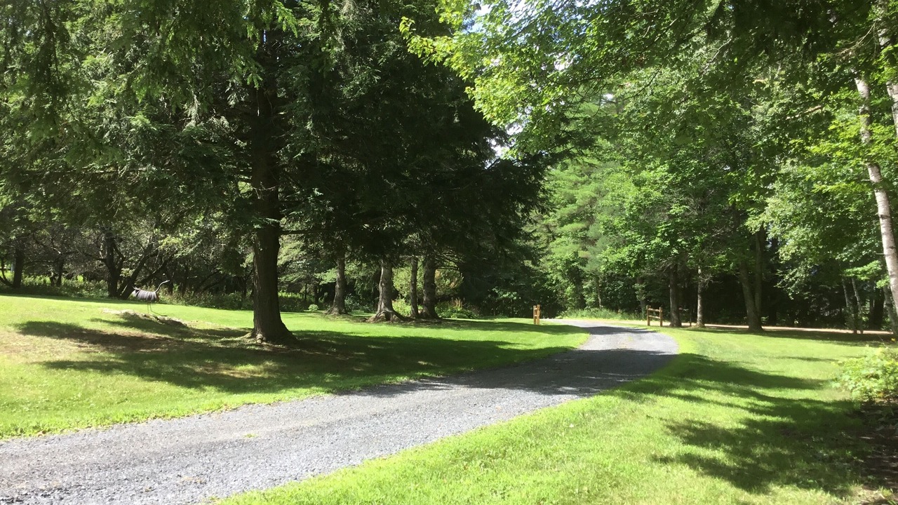 Photo of Others in Waterbury