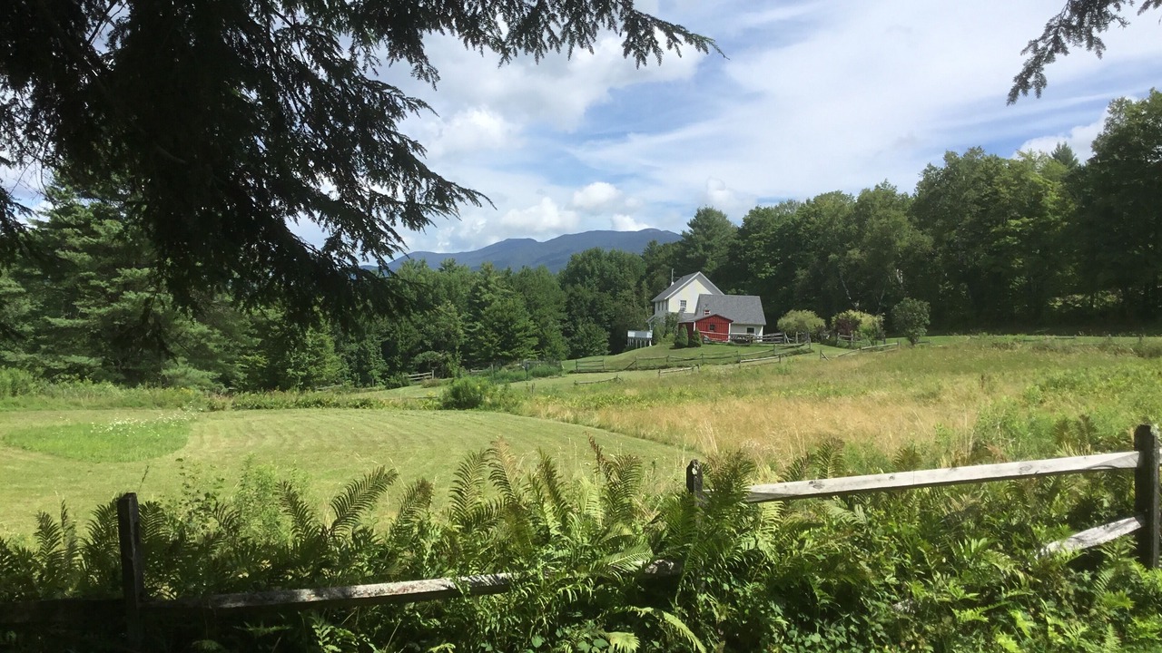 Photo of Outdoor in Waterbury