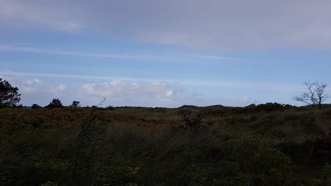 Photo of Others in Bratten Strand