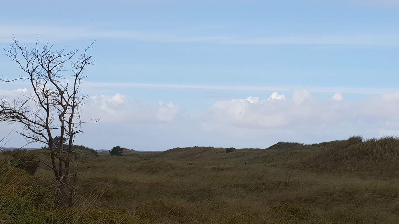 Photo of Others in Bratten Strand