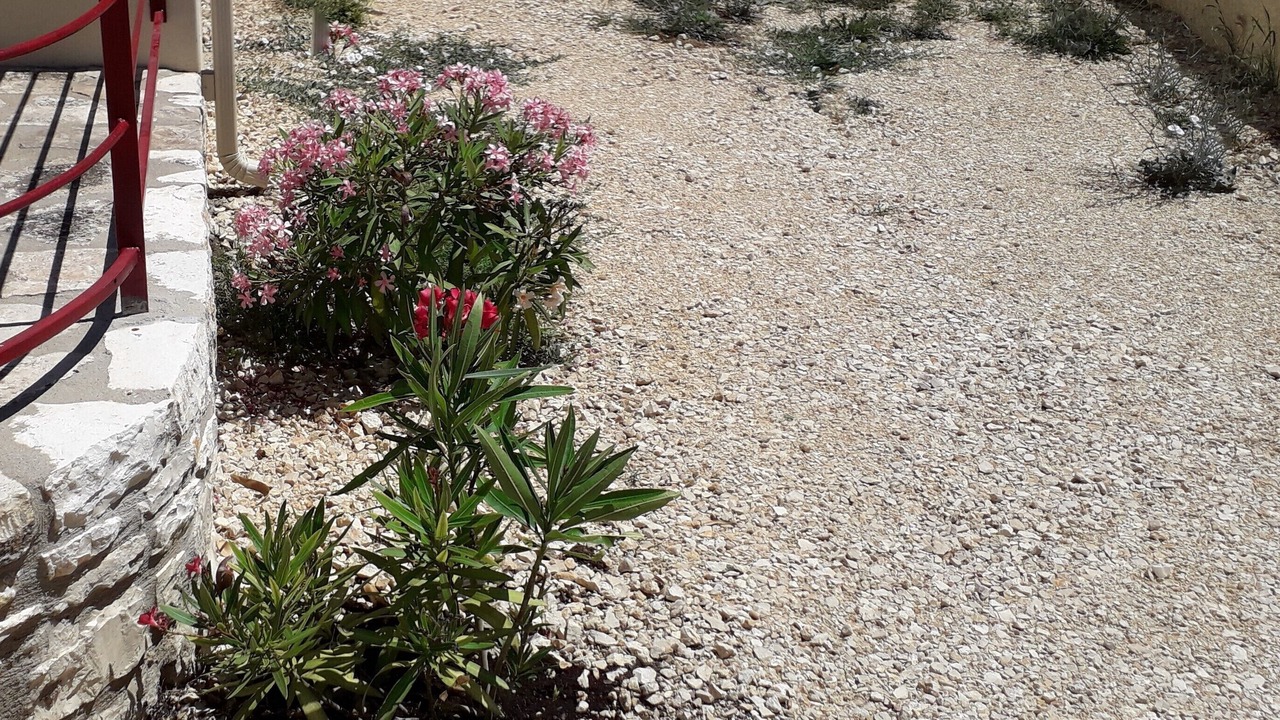 Photo of Outdoor in Orgnac-l'Aven