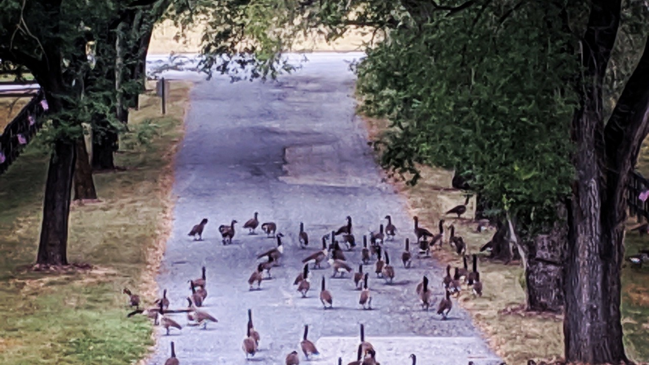 Photo of Others in Crownsville