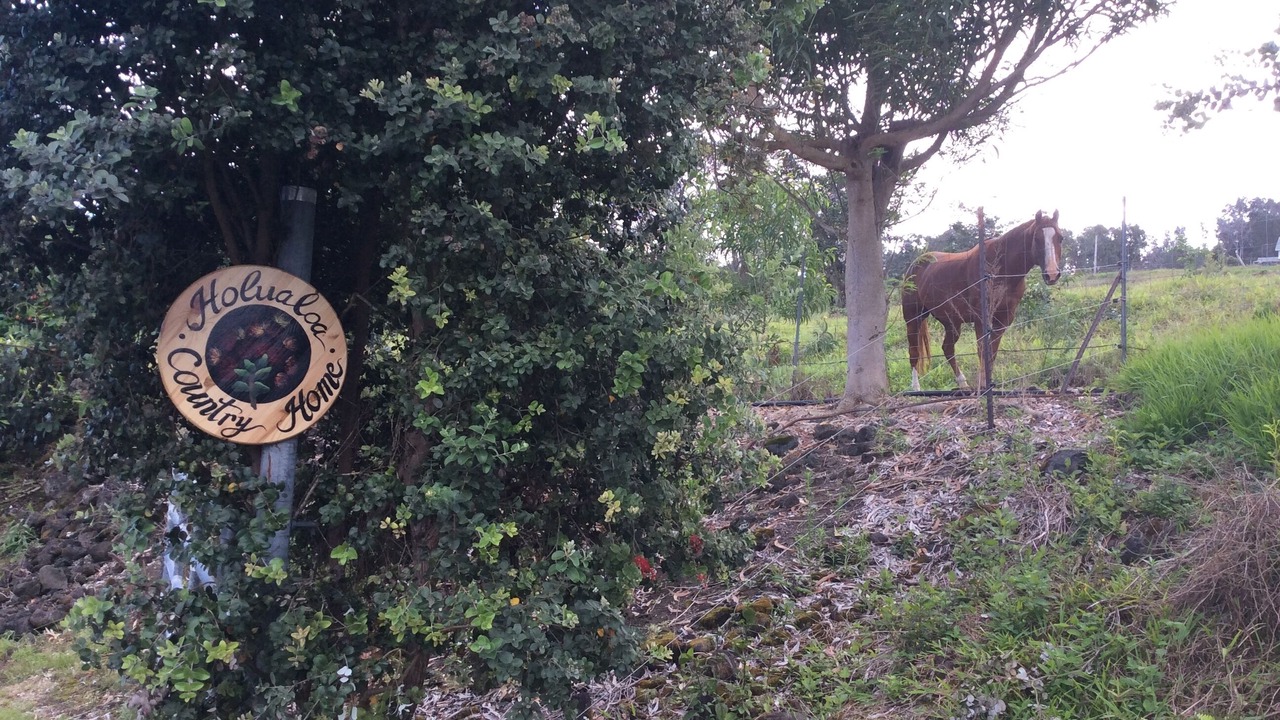 Photo of Outdoor in Holualoa