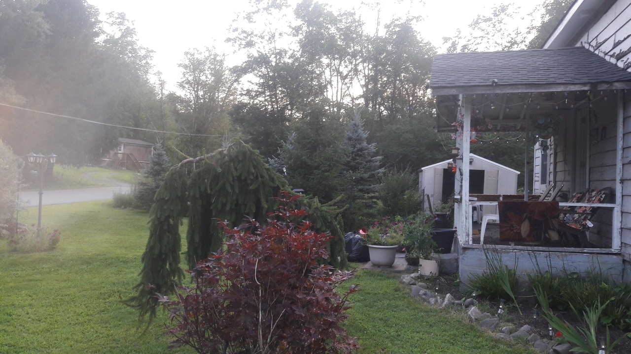 Photo of Outdoor in Livingston Manor
