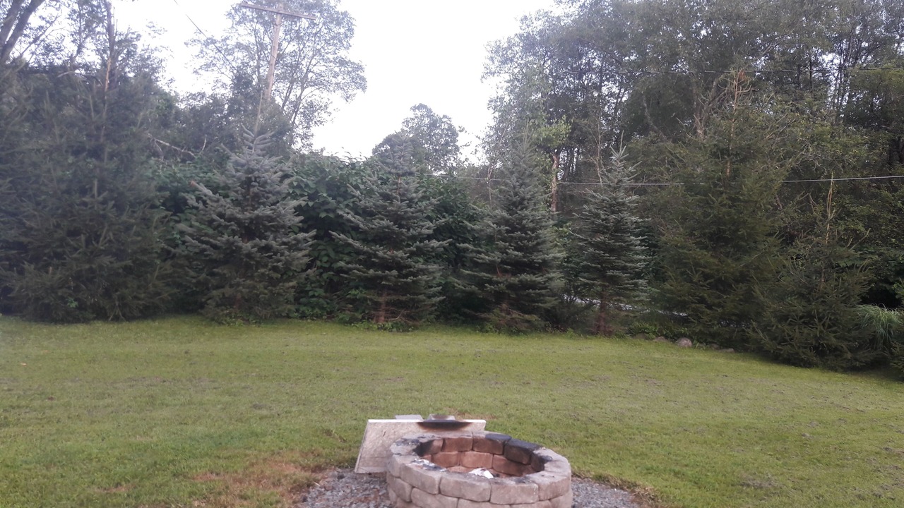 Photo of Outdoor in Livingston Manor