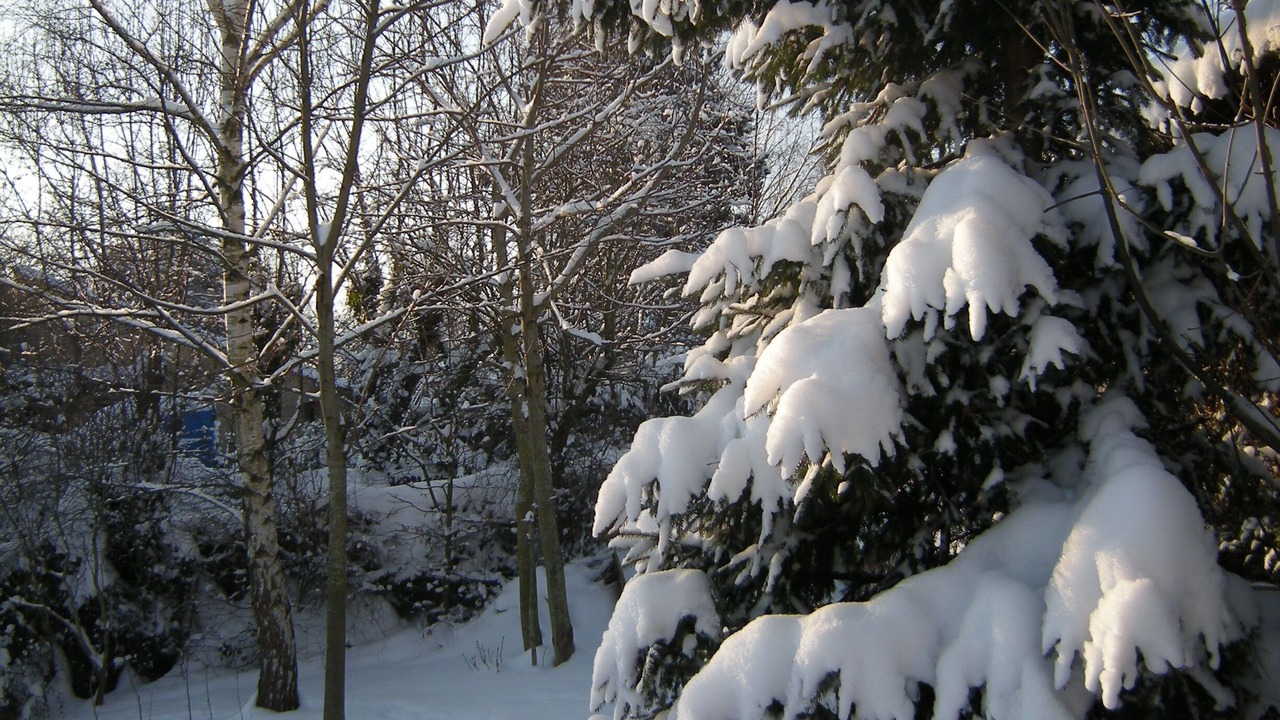Photo of Outdoor in Orcines