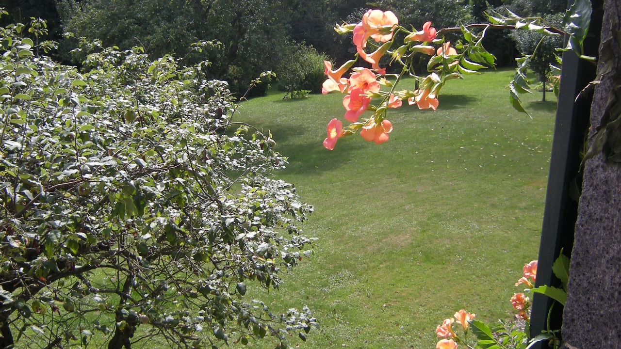 Photo of Outdoor in Orcines
