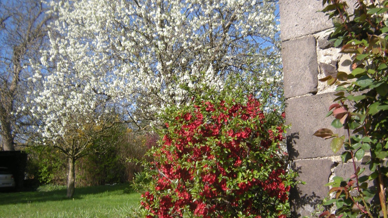 Photo of Outdoor in Orcines
