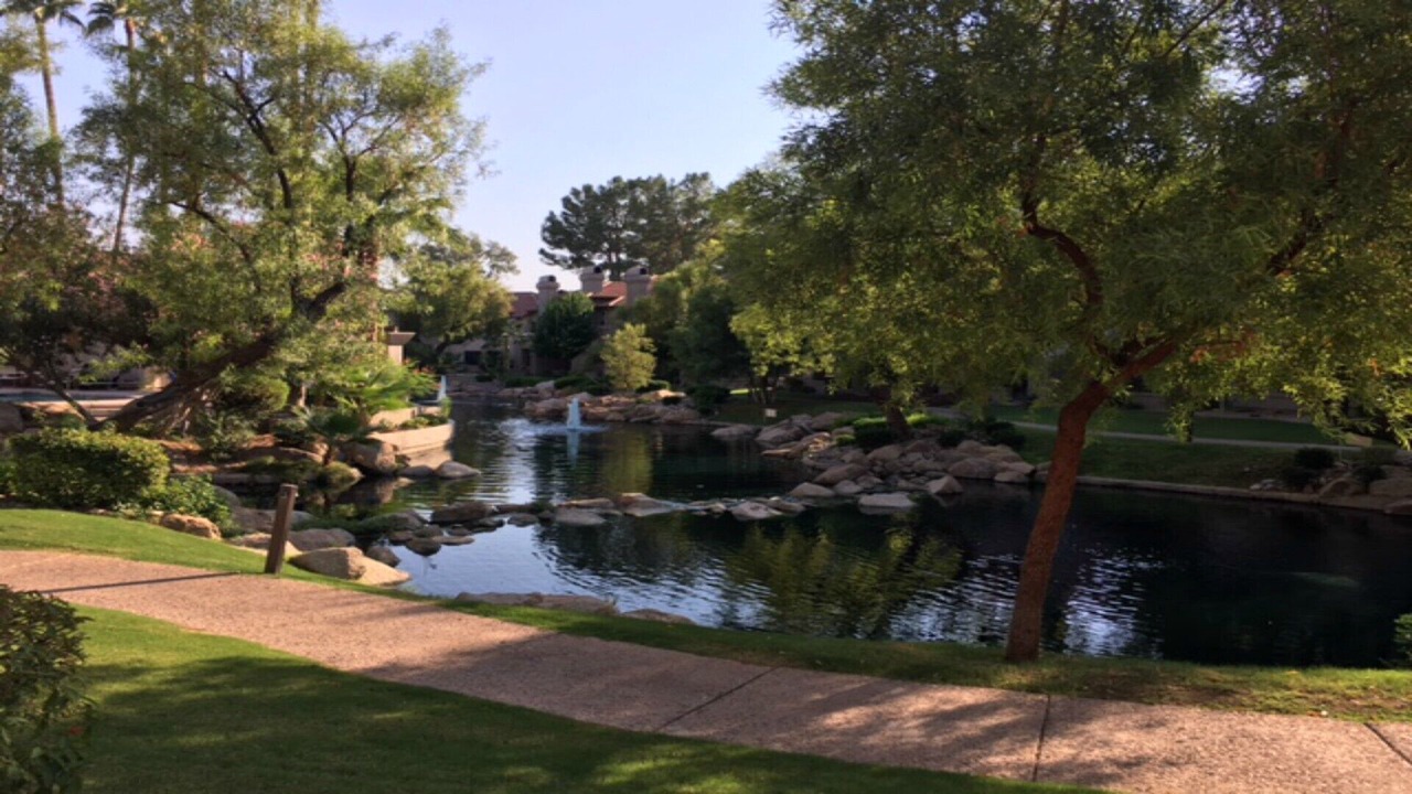 Photo of Others in Scottsdale Ranch