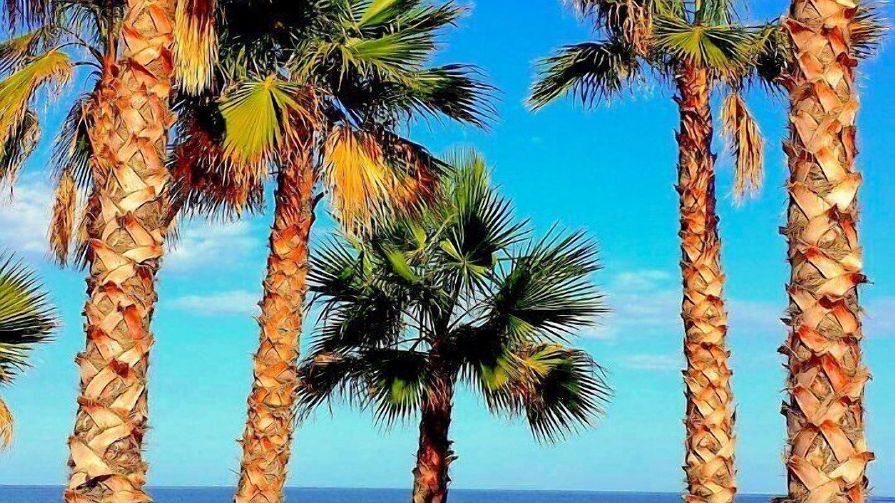 Photo of Others in Javea