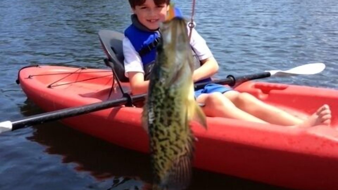 Photo of Outdoor in Ashford