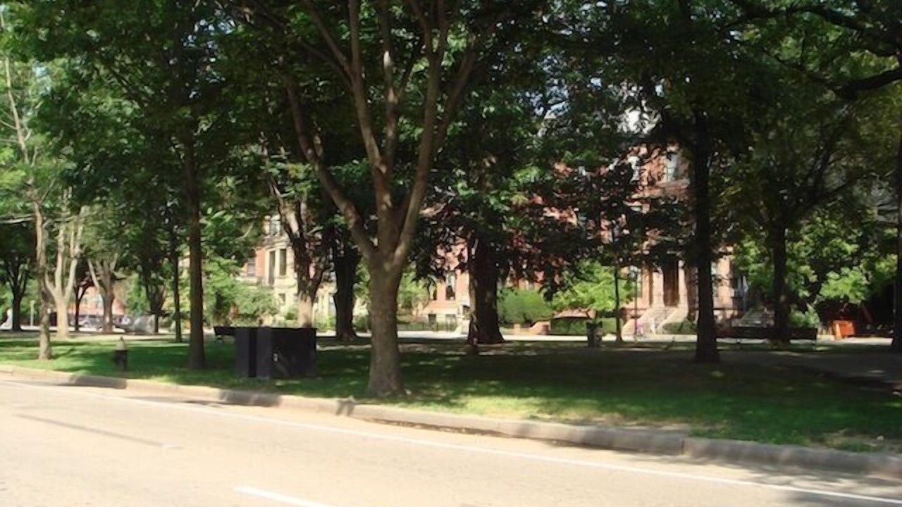 Photo of Others in Back Bay East