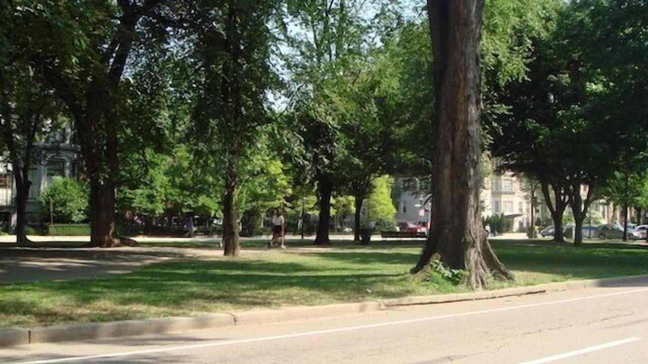 Photo of Others in Back Bay East