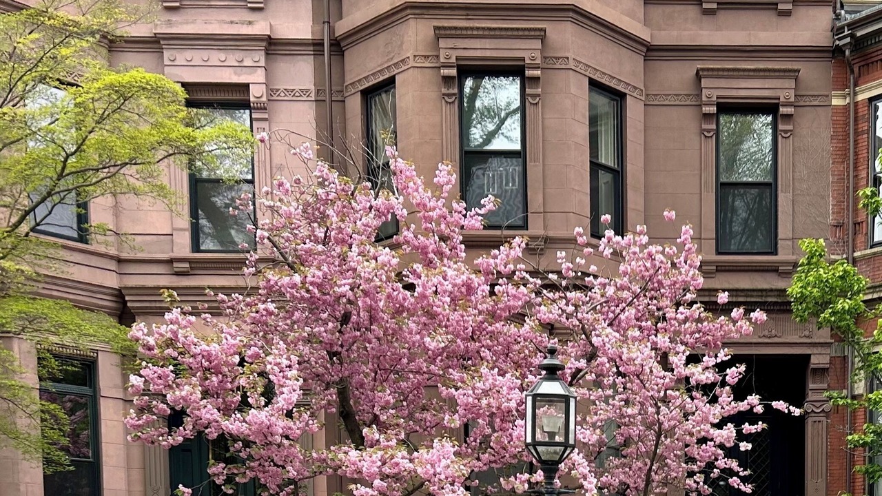 Photo of Outdoor in Back Bay East