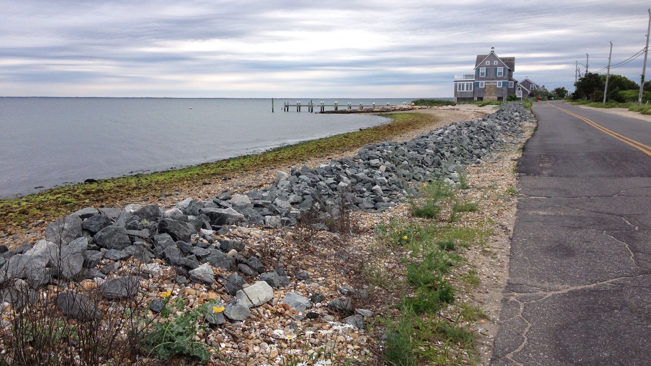 Photo of Others in East Chop