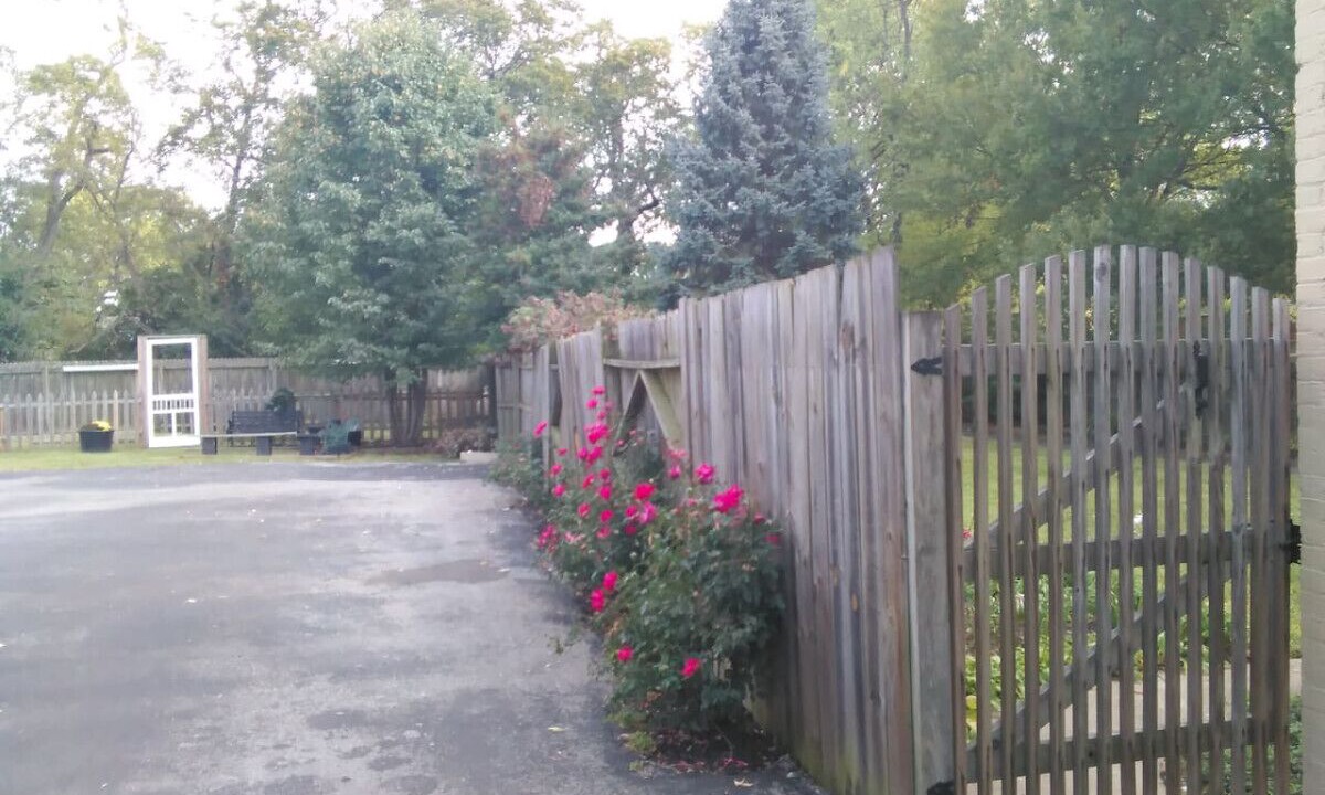 Photo of Outdoor in Lexington