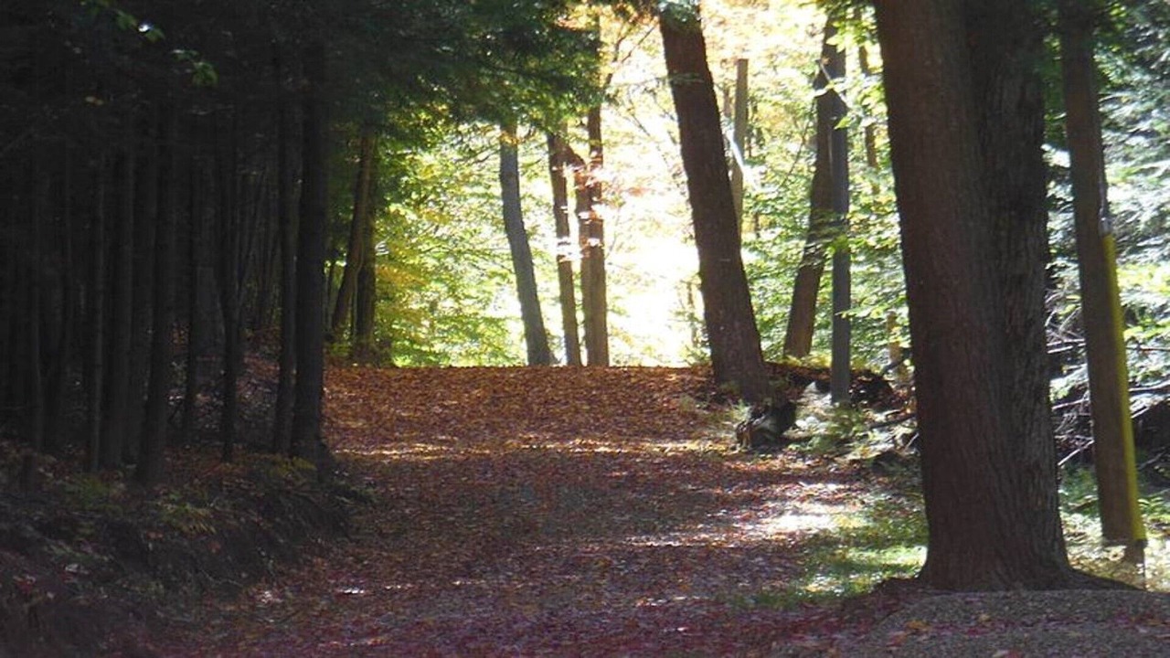 Photo of Outdoor in Wellsville