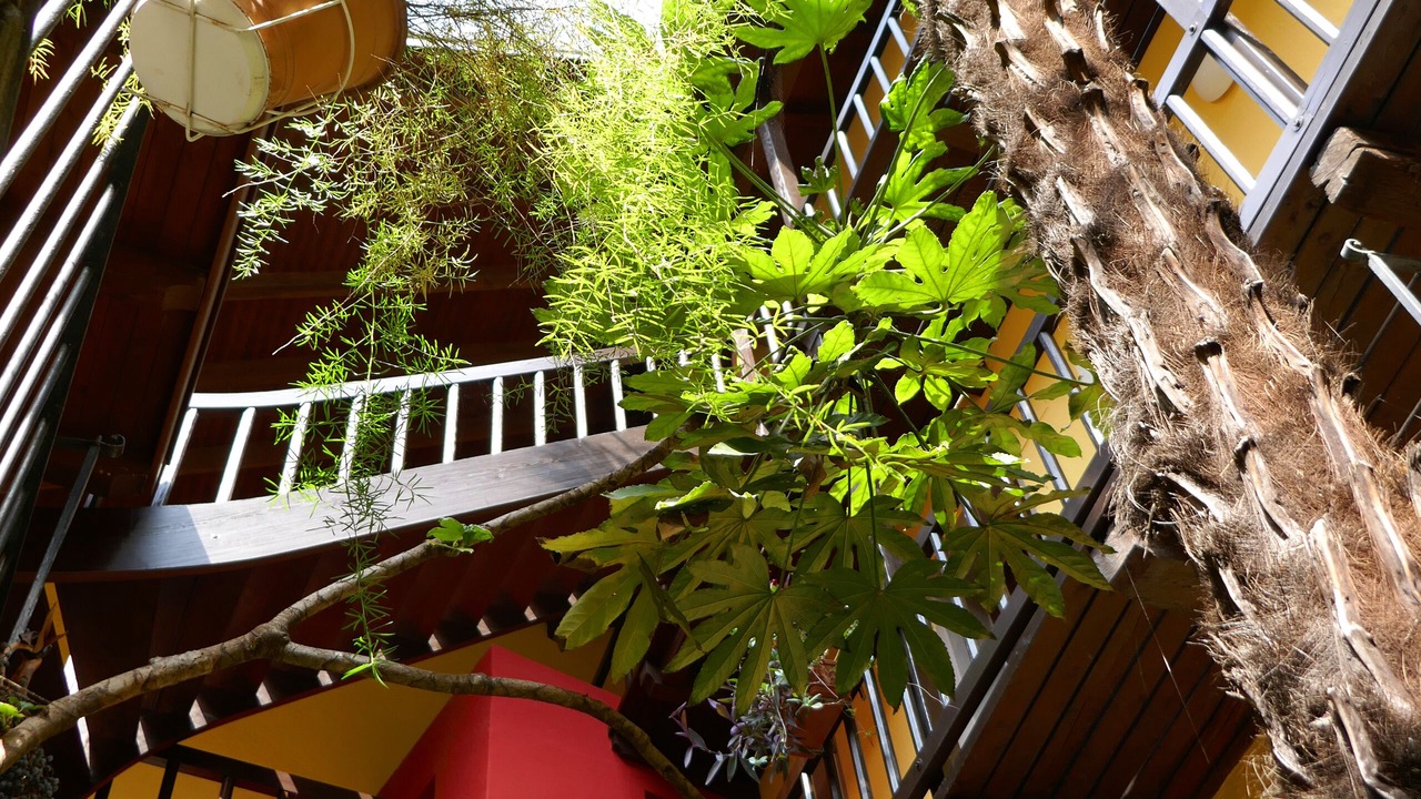 Photo of Patio Balcony in Locarno
