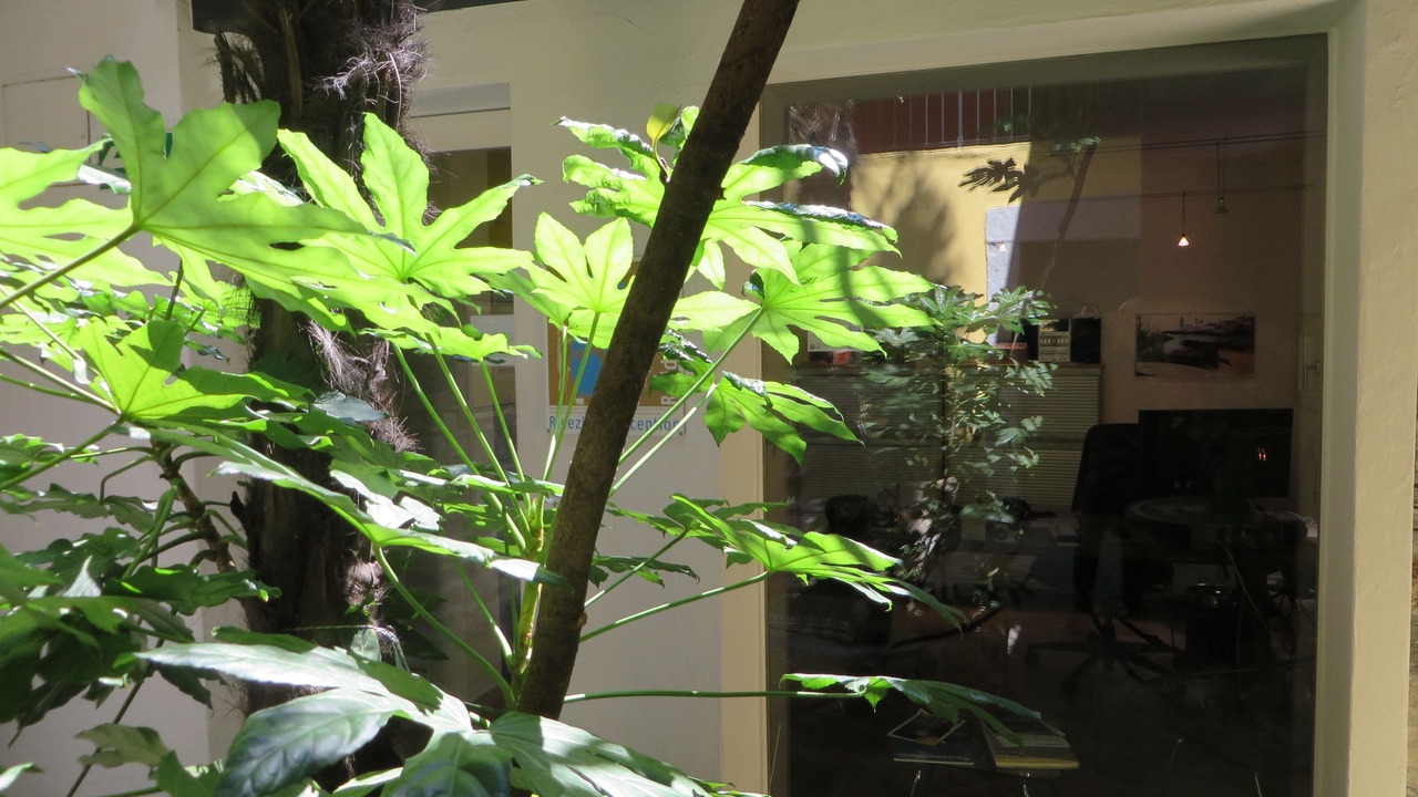 Photo of Others in Locarno