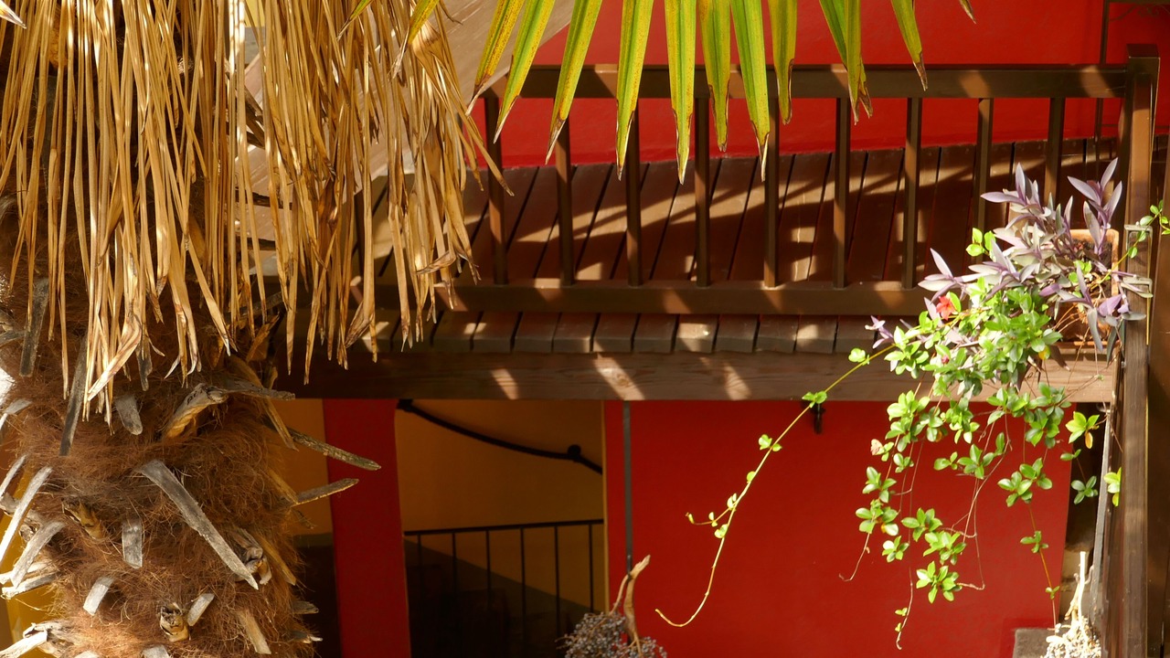 Photo of Patio Balcony in Locarno