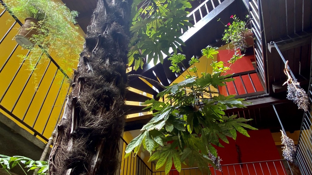 Photo of Patio Balcony in Locarno
