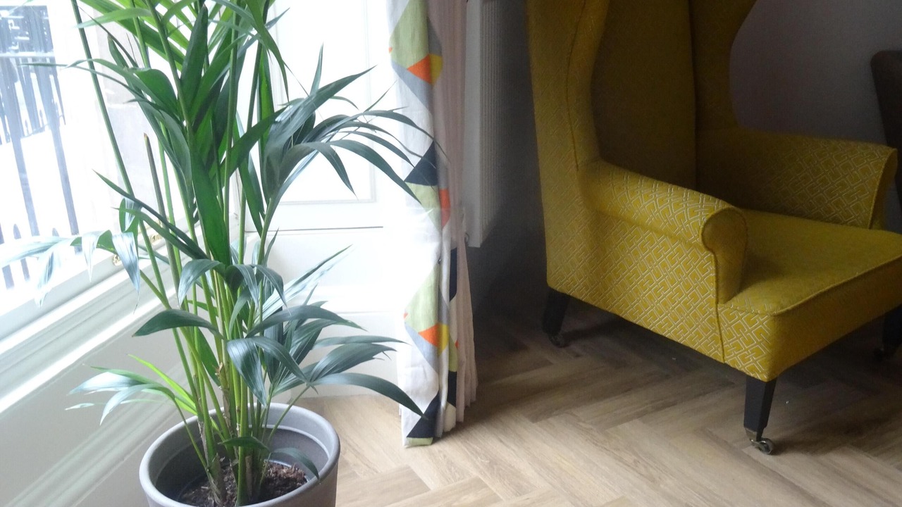 Photo of Others in Leith