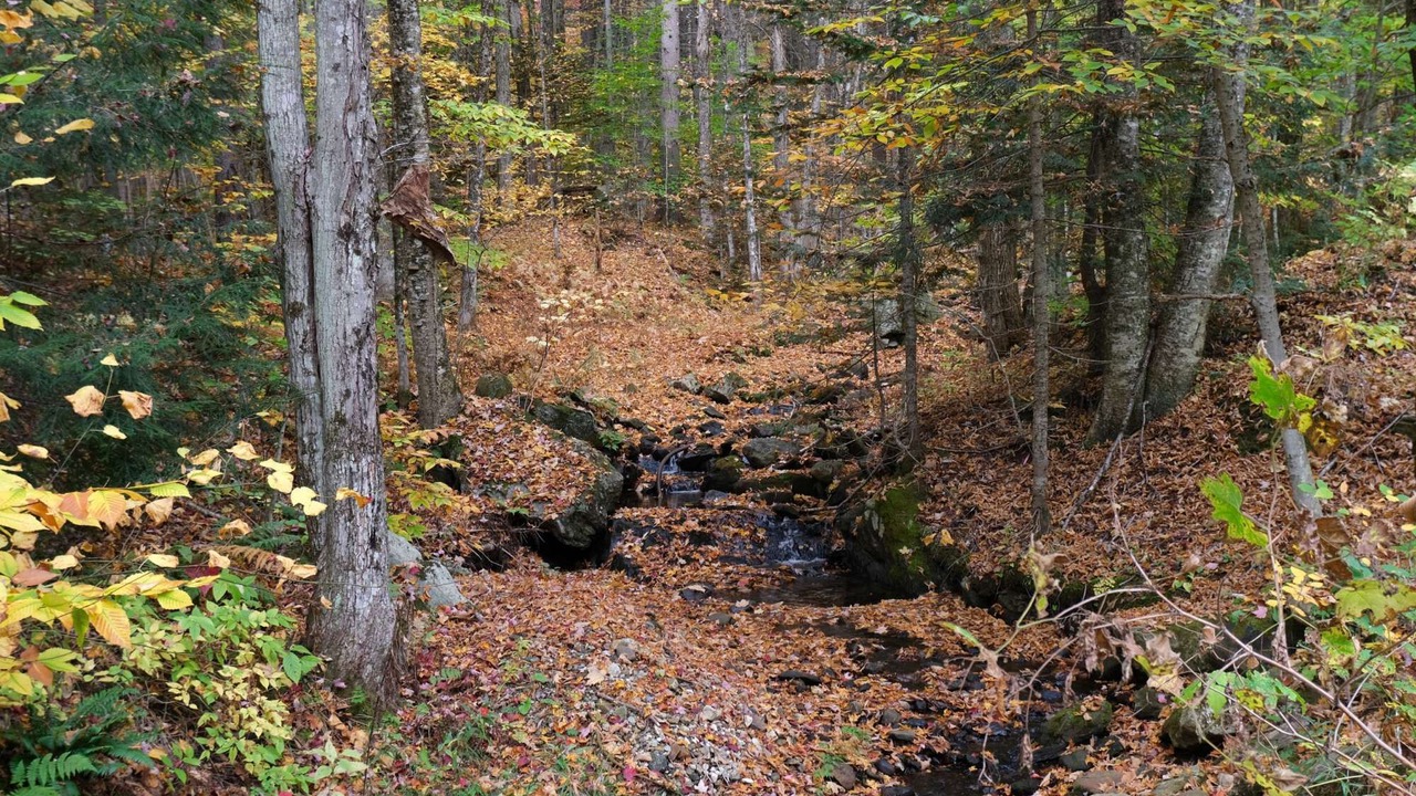 Photo of Others in Killington