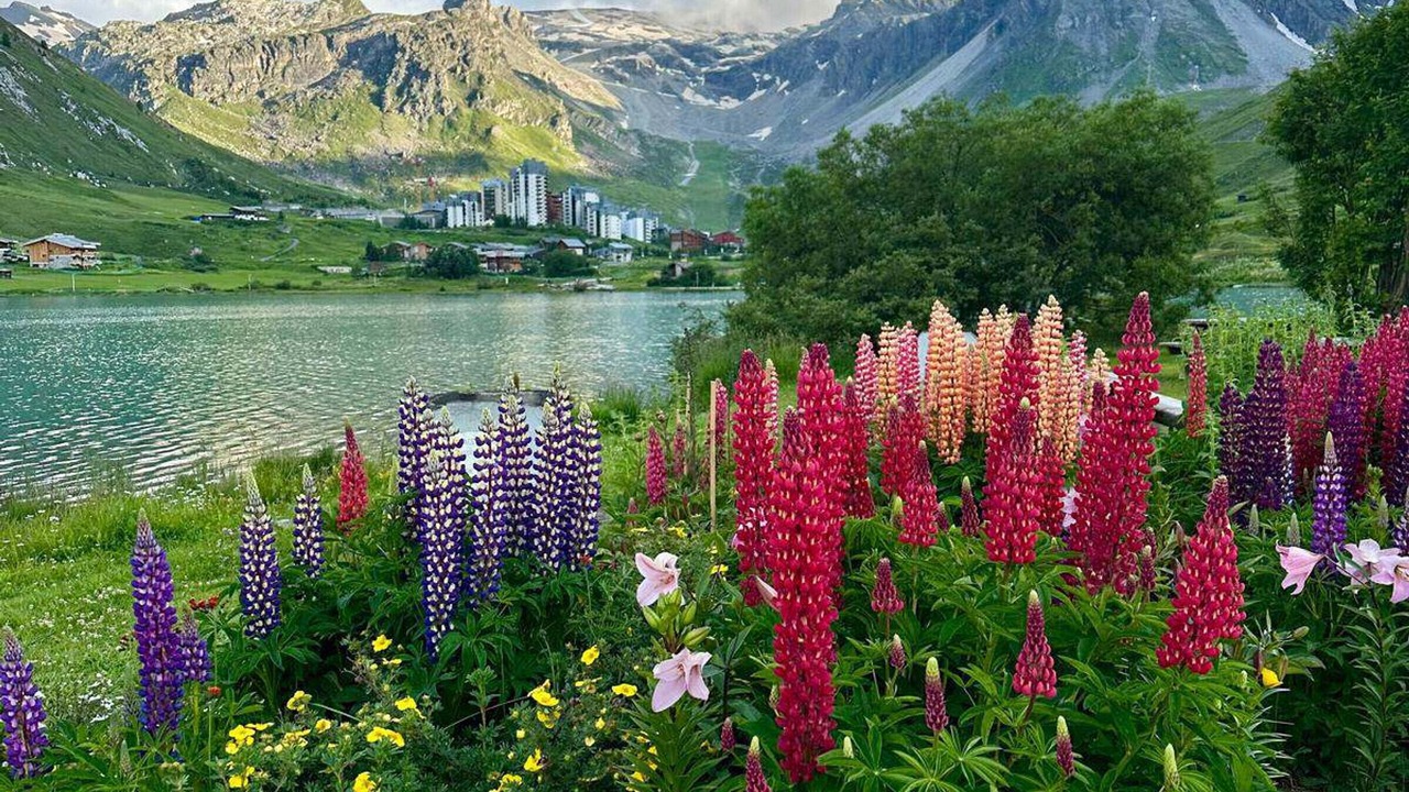 Photo of Bedroom in Val Claret